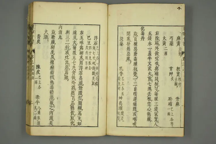 东垣十书卷二十