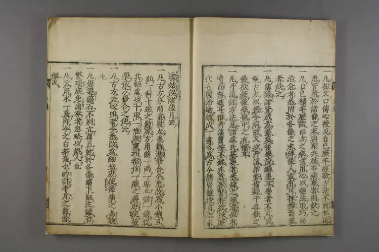 医学正传或问 医学正传或问