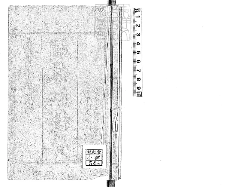 881 紅樓夢一百二十卷即一百二十回 光緒二年北京聚珍堂活字印本 881 紅樓夢一百二十卷即一百二十回 光緒二年北京聚珍堂活字印本