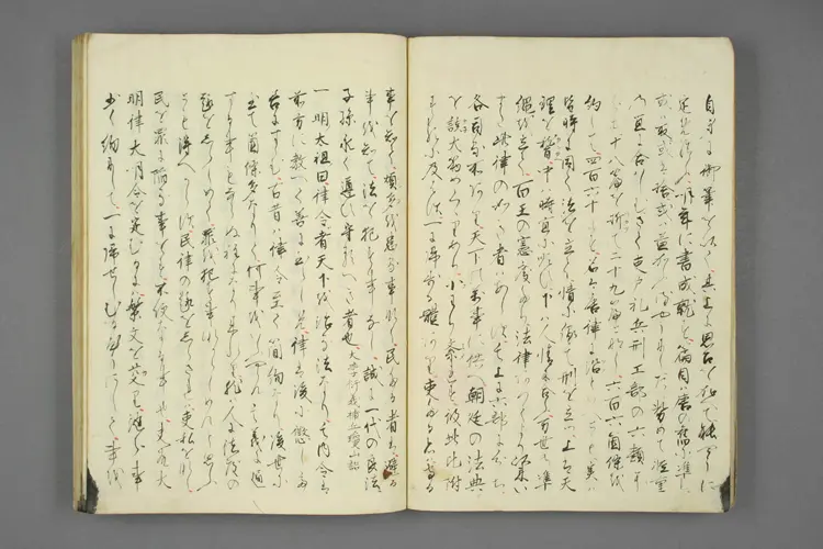 大明律例訳義 大明律例訳義