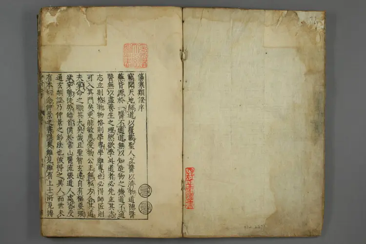 伤寒类证 伤寒类证