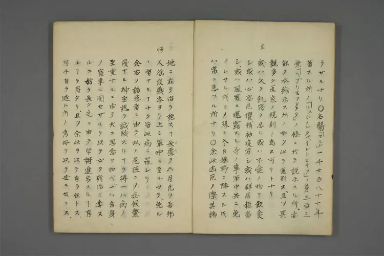 扶歇兰土神经热论