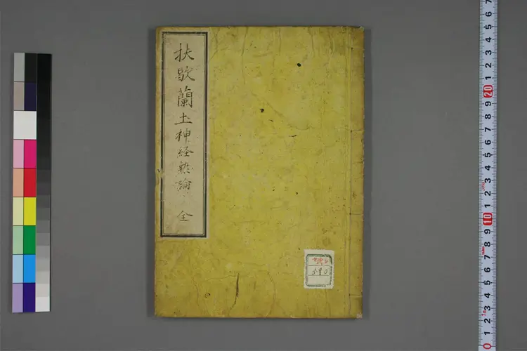 扶歇兰土神经热论