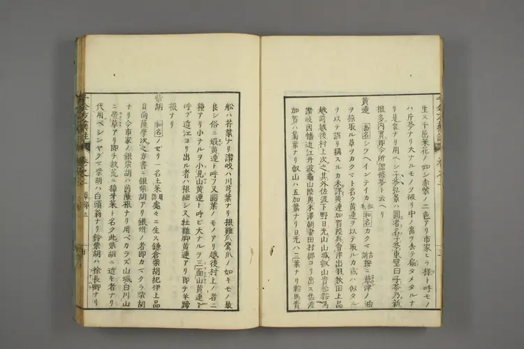 千金方药注卷二 千金方药注卷二