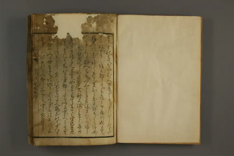 护痘锦囊正编 护痘锦囊正编