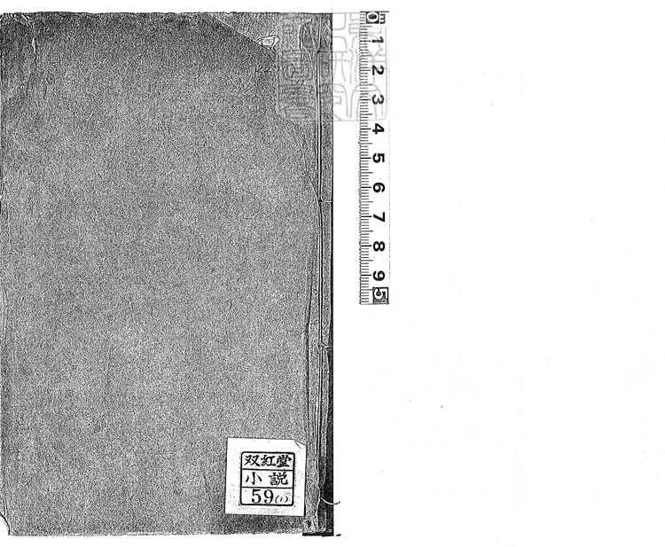 885 紅樓復夢一百回　嘉慶四年蓉竹山房刊本