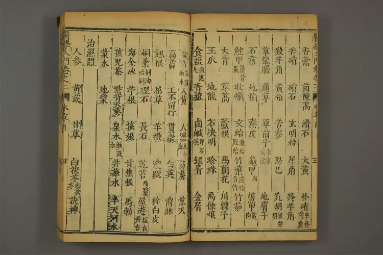 医学入门卷五 医学入门卷五