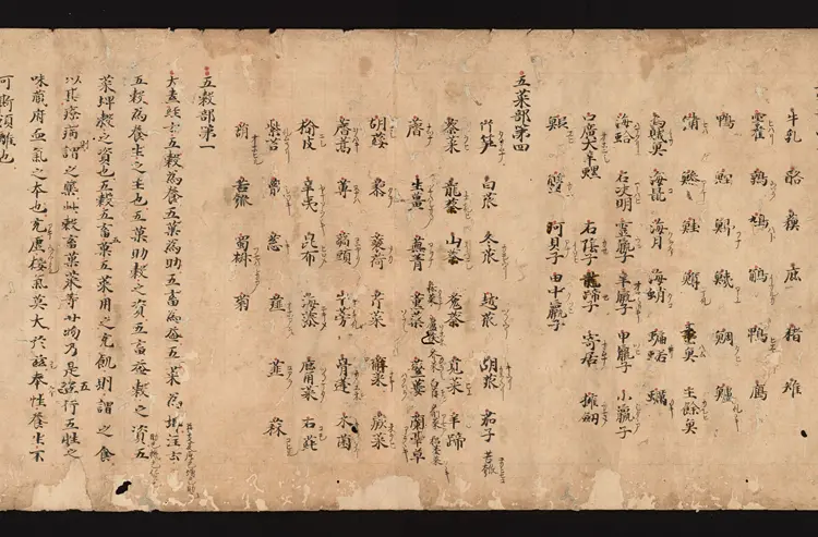 医心方.丹波康赖撰.30.卷三十.总三十卷.十二世纪抄本.东京国立博物馆藏