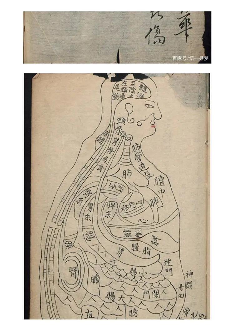 金不换（干货多）64页