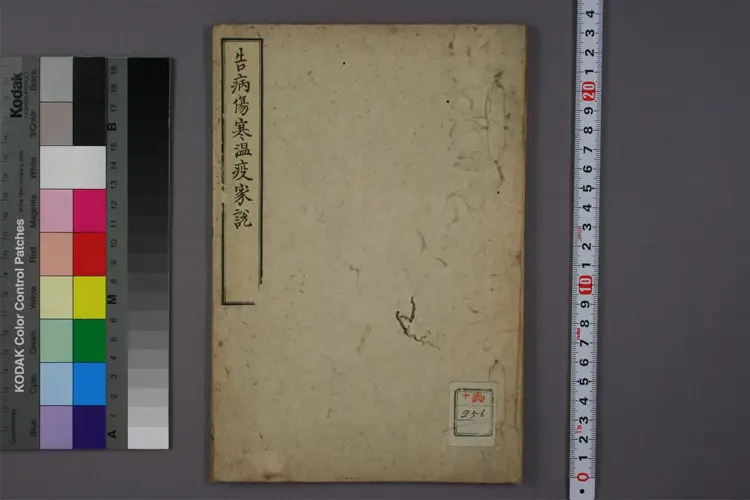 告病伤寒瘟疫家说