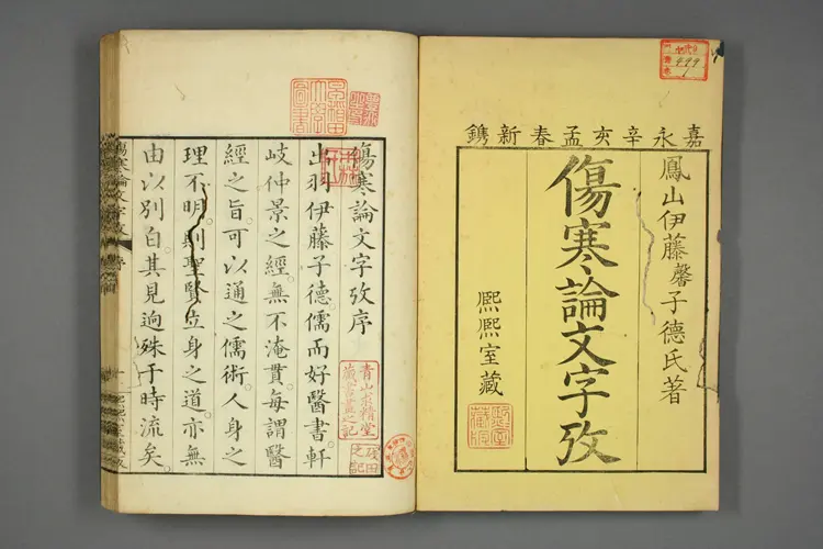 伤寒论文字考上卷 伤寒论文字考上卷