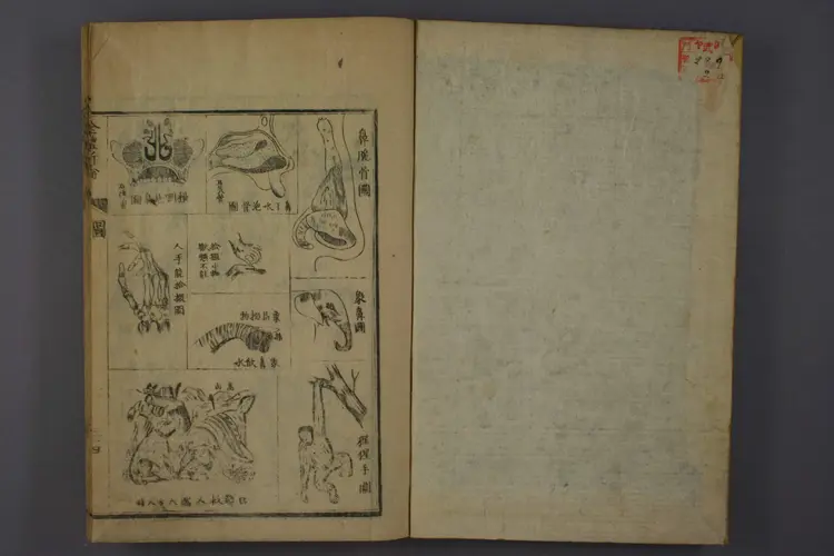 全体新论卷二 全体新论卷二