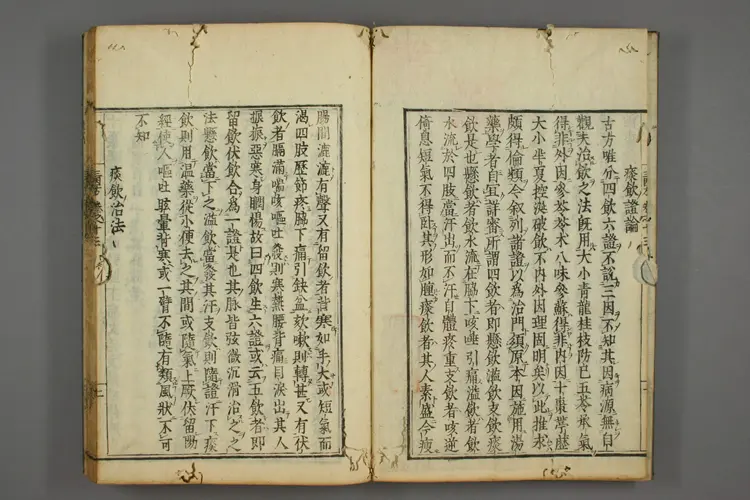 三因极一病证方论卷十三、十四