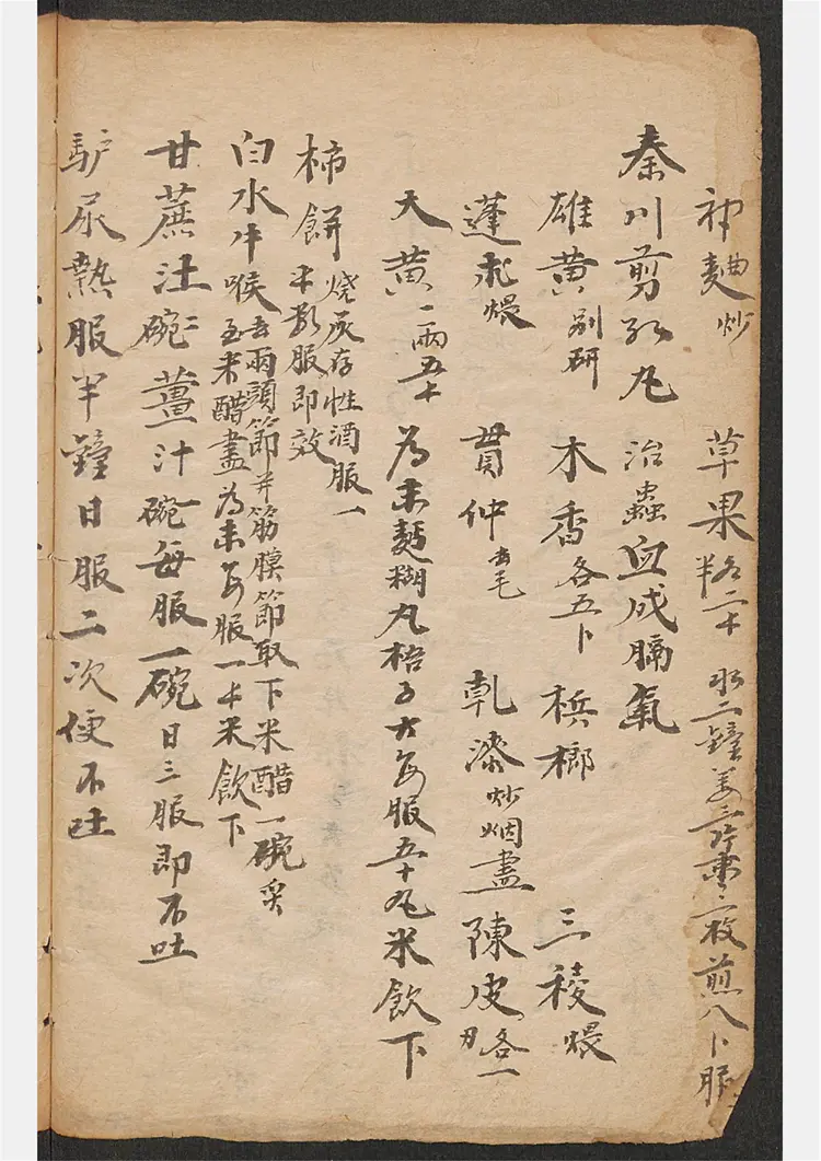 民间药方钞本 民间药方钞本