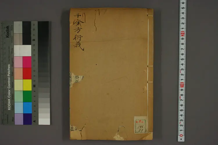 千金方衍义卷二十九