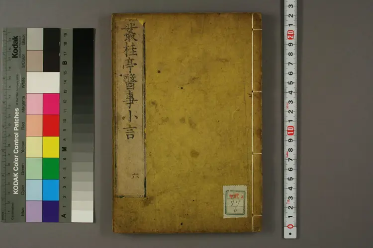 丛桂亭医事小言卷六