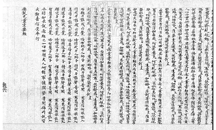 500 無量壽宗要經殘一卷　唐鈔本