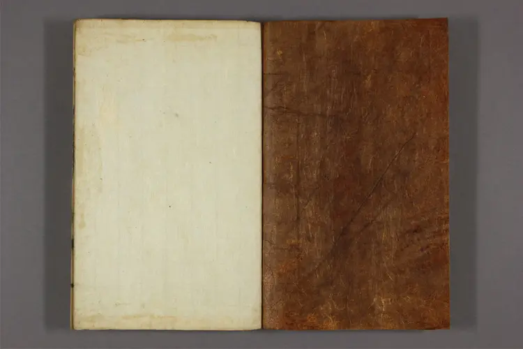 竜渓遺稿 卷之1-4 金止男撰 竜渓遺稿 卷之1-4 金止男撰