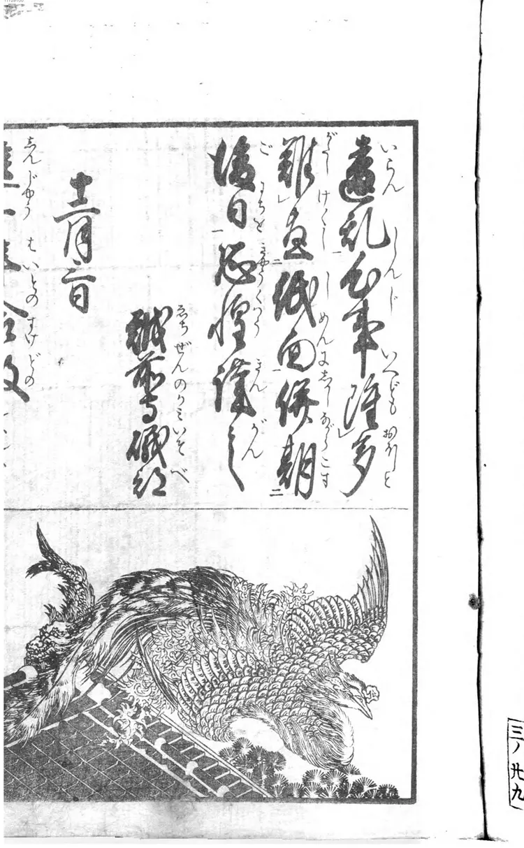 �汾ͥѵ����. ȫ �汾ͥѵ����. ȫ