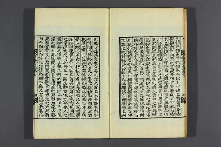 懼菴先生文集 卷之1-9  李樹仁撰