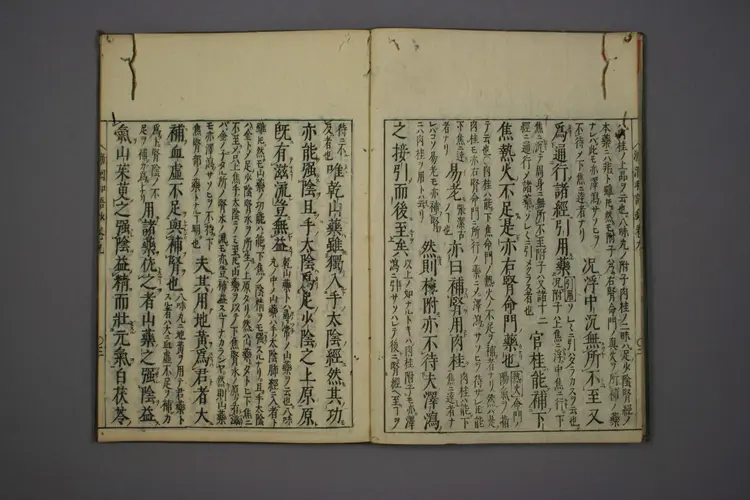 医经溯洄集和语钞卷九 医经溯洄集和语钞卷九