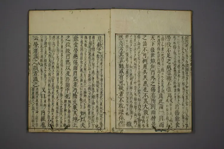 医经溯洄集和语钞卷十 医经溯洄集和语钞卷十