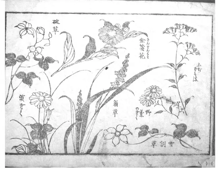 花鸟山水细画図式