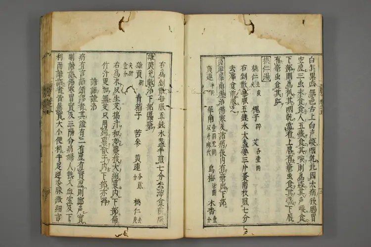 三因极一病证方论卷五、六 三因极一病证方论卷五、六