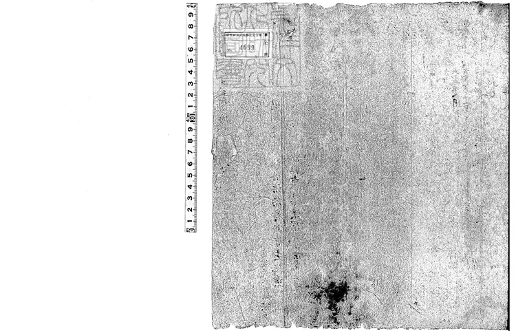 505 四分律并論要用抄殘一卷 唐鈔本 505 四分律并論要用抄殘一卷 唐鈔本