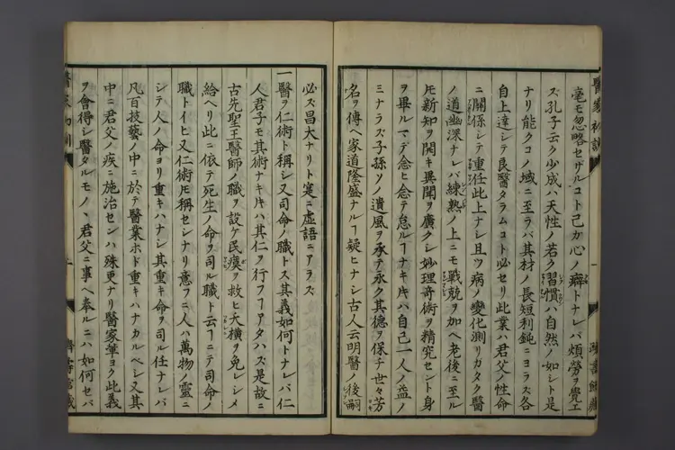 医家初训 医家初训