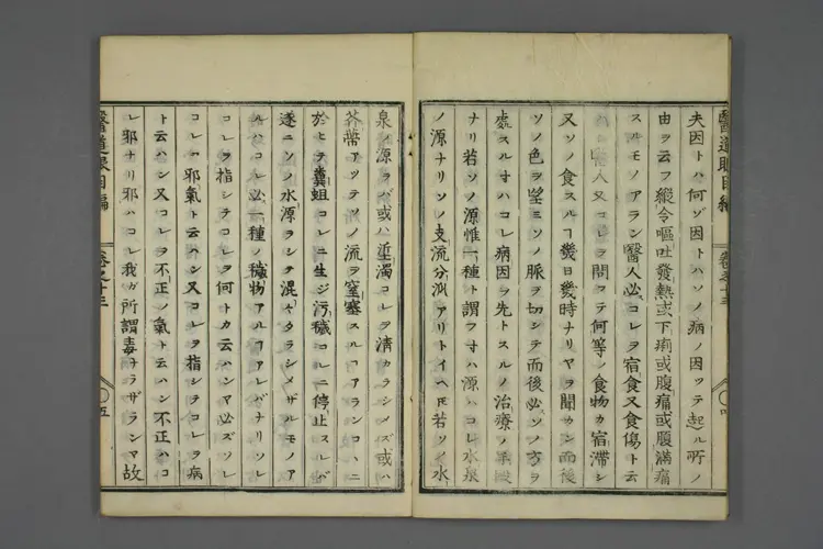 医道二千年眼目编卷十三