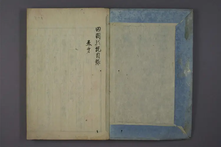 大人小儿疗治方