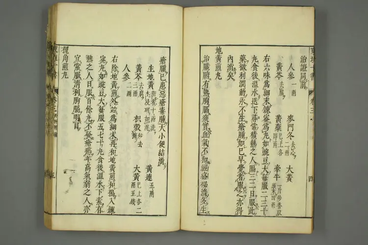 东垣十书卷二十