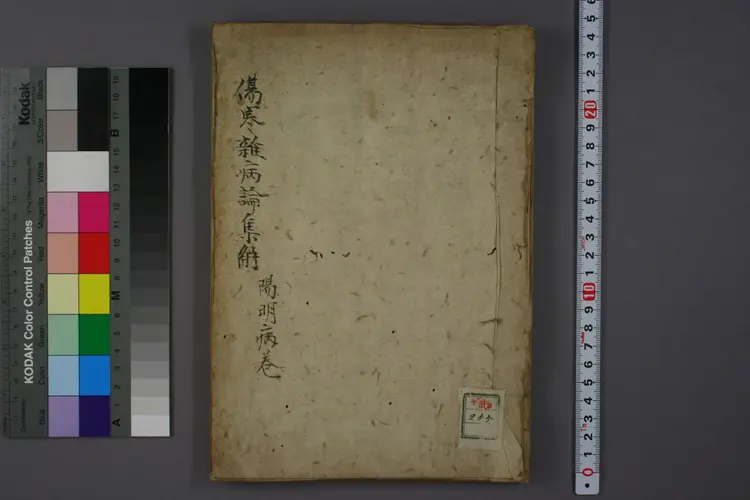 伤寒杂病论集解