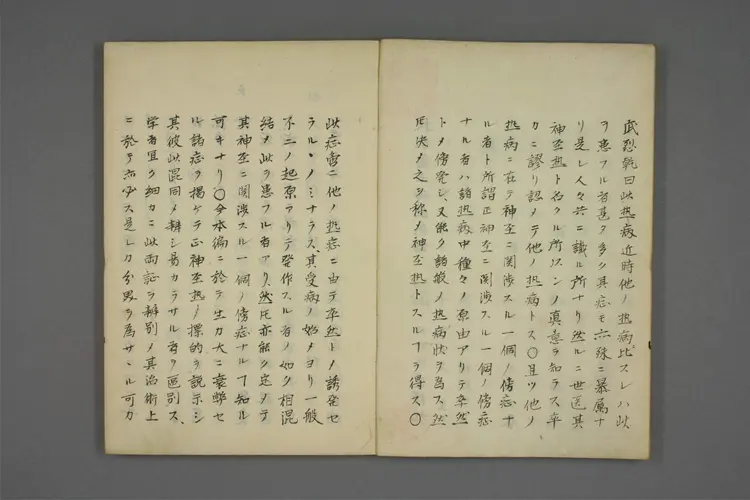 扶歇兰土神经热论