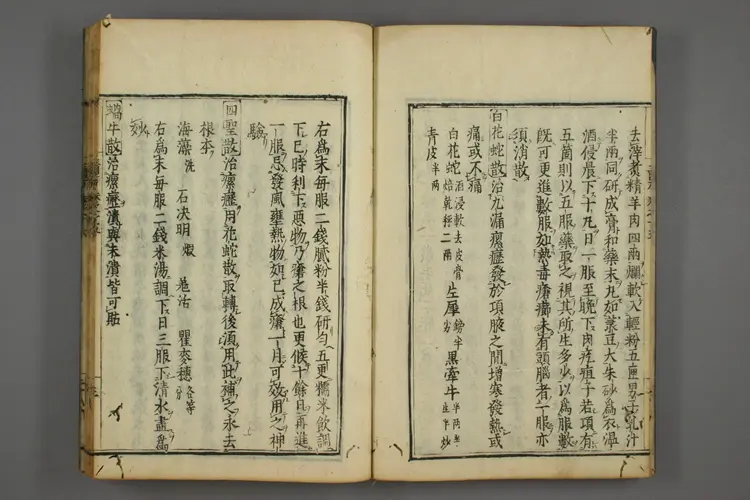 三因极一病证方论卷十五、十六 三因极一病证方论卷十五、十六