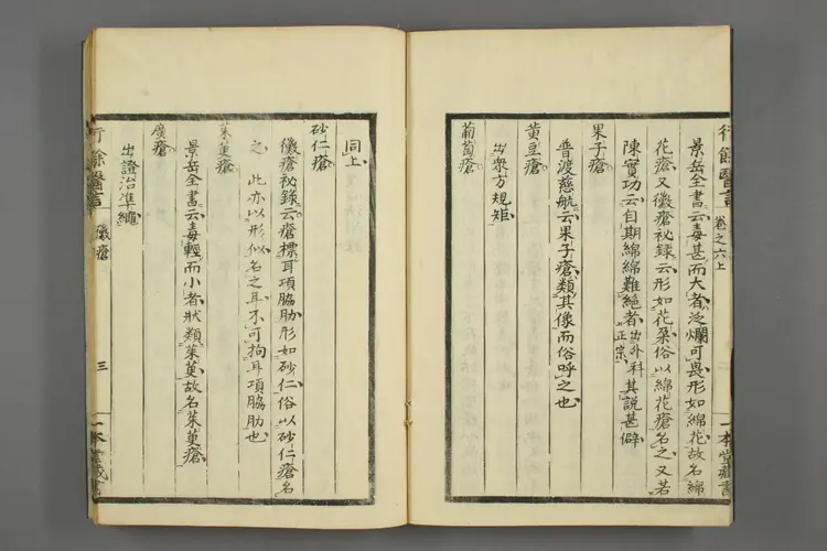 天一本堂行余医言卷六