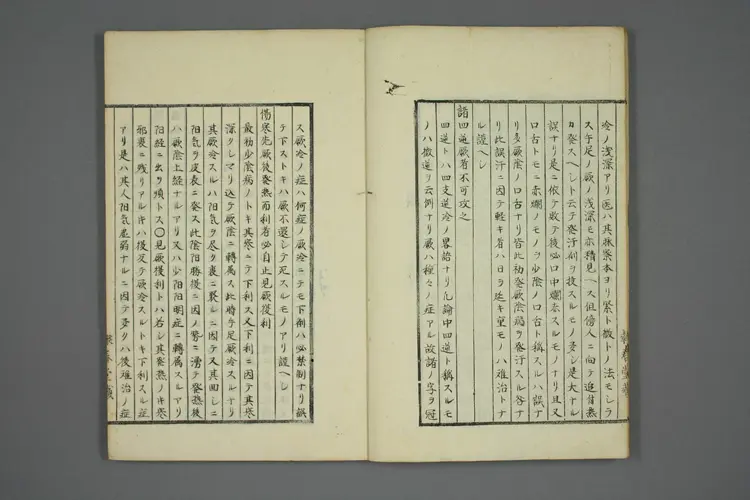 伤寒五种传卷六