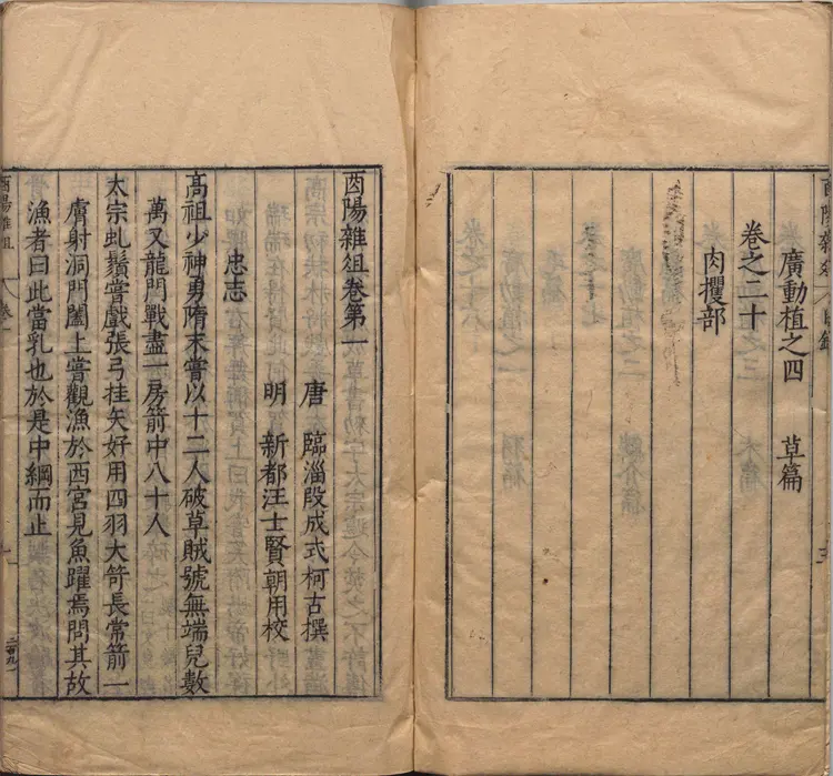 酉阳杂俎.二十卷.唐.段成式著.明万历时期新都汪士贤校刊本 酉阳杂俎.二十卷.唐.段成式著.明万历时期新都汪士贤校刊本