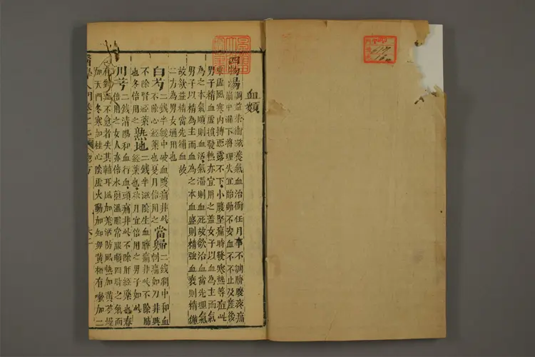 医学入门卷十六 医学入门卷十六