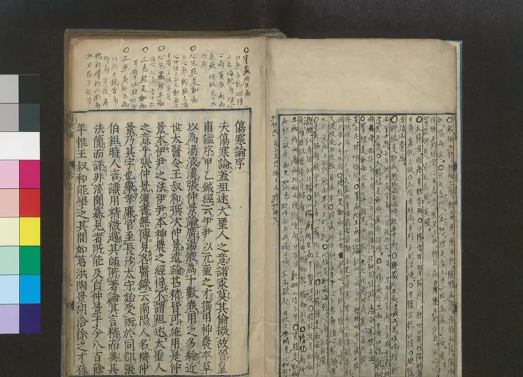 伤寒论(1) 伤寒论(1)