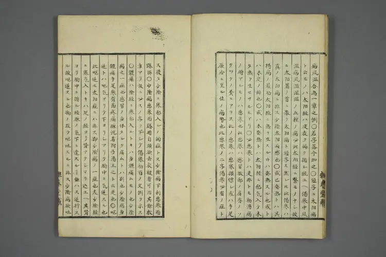 伤寒五种传卷二 伤寒五种传卷二