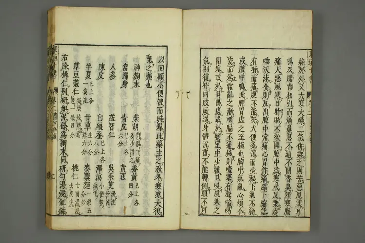 东垣十书卷十四 东垣十书卷十四