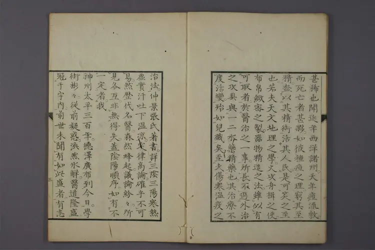 告病伤寒瘟疫家说