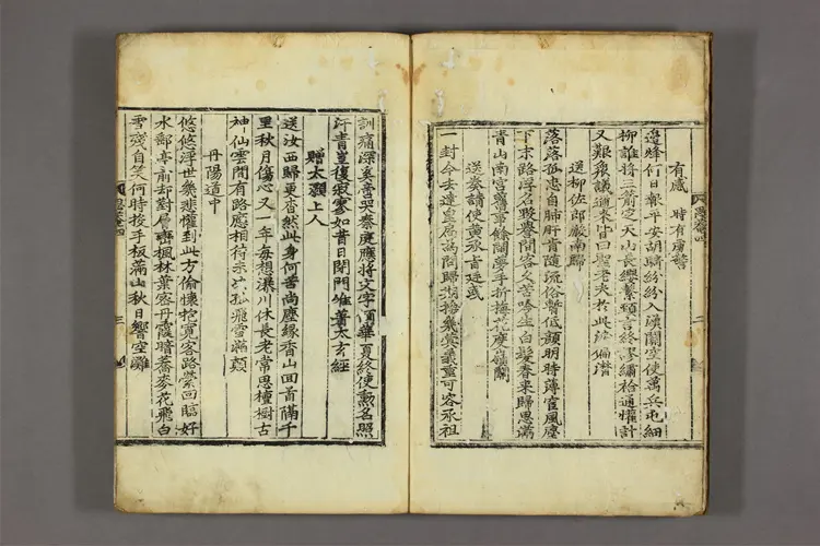 思菴先生集 詩集,文集合部  朴淳撰