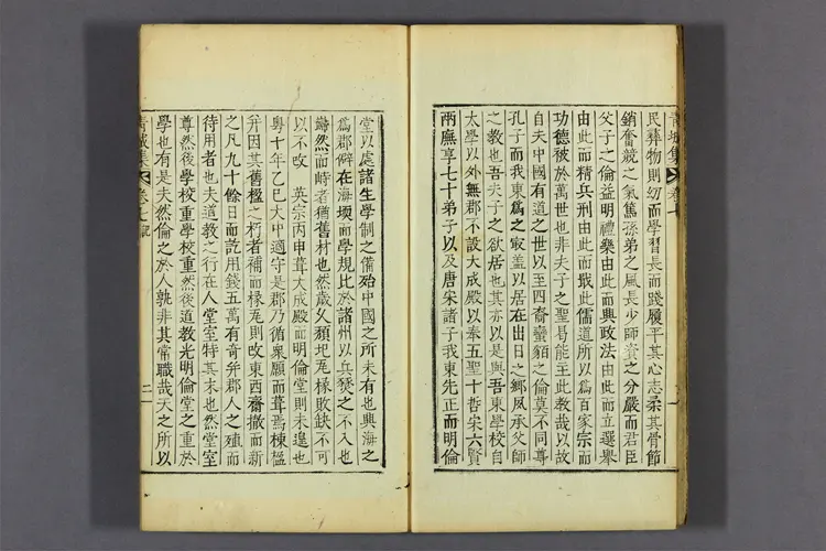 青城集 卷之1-10  成大中著