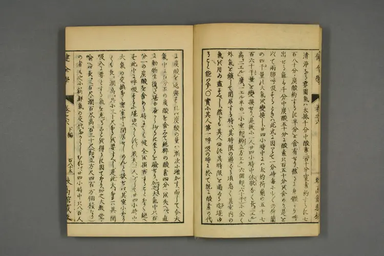 健全学卷六 健全学卷六