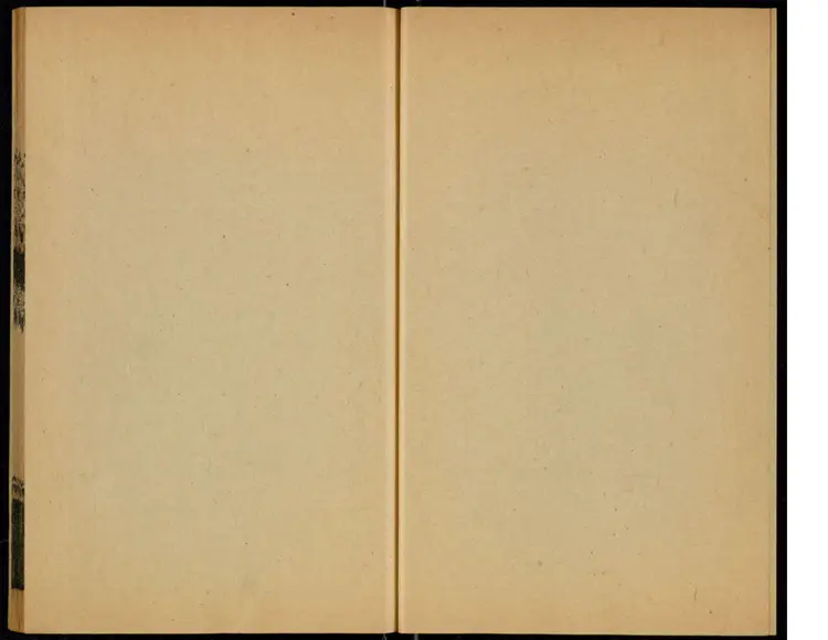 4扁鹊心书卷中下 4扁鹊心书卷中下