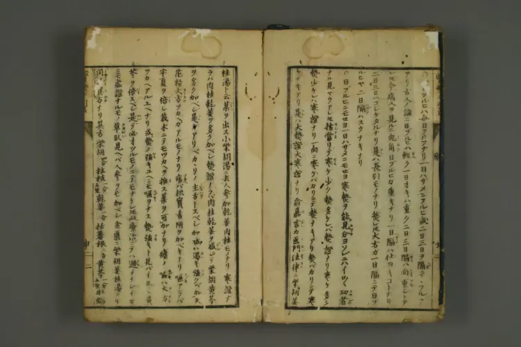 医疗手引草上编