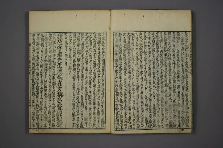 医经溯洄集和语钞卷一二 医经溯洄集和语钞卷一二